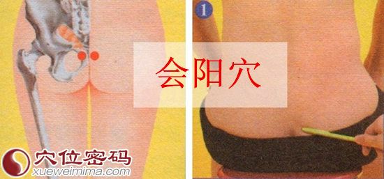 会阳穴的位置及取穴示范图