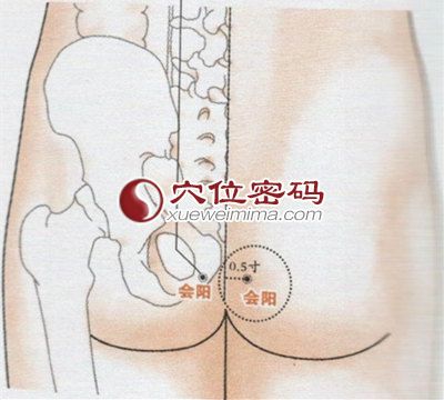 会阳穴