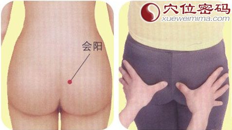 会阳穴