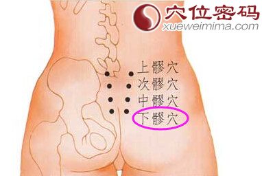 下髎穴的位置图