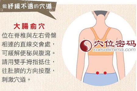 大肠俞穴的位置图