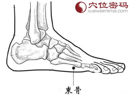 束骨穴的准确位置图