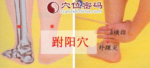 跗阳穴的取穴方法图