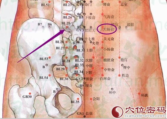 大肠俞穴的准确位置图