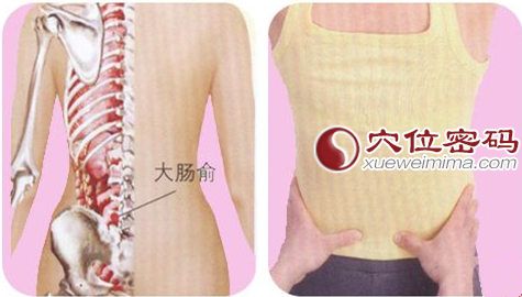 大肠俞穴的准确位置图