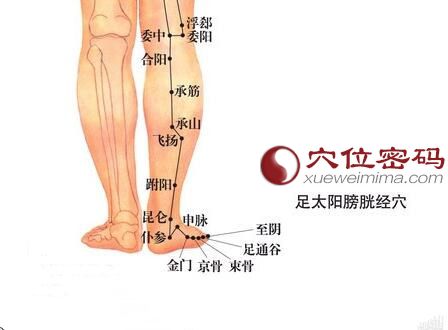 仆参穴的准确位置图