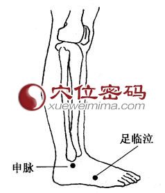 申脉穴