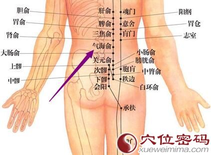 气海俞穴的位置