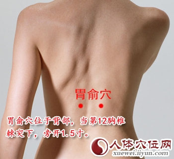 胃俞穴的准确位置图