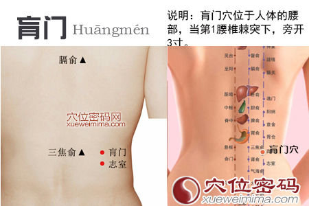 肓门穴的准确位置图