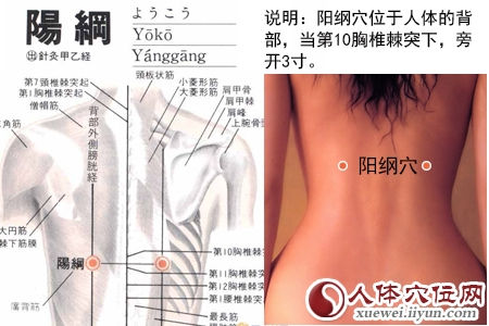 阳纲穴的准确位置图
