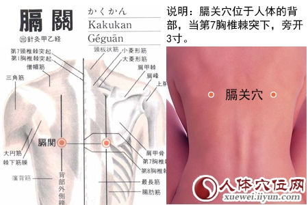 膈关穴的准确位置图