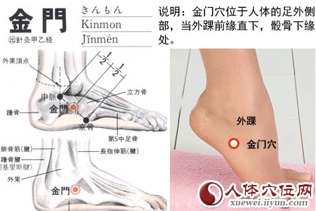 金门穴的准确位置图