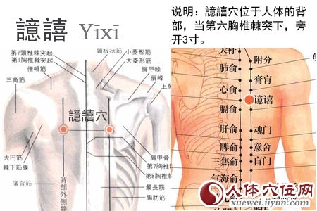 譩譆穴的准确位置图