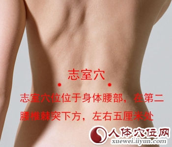 志室穴的准确位置图 志室穴的准确位置图