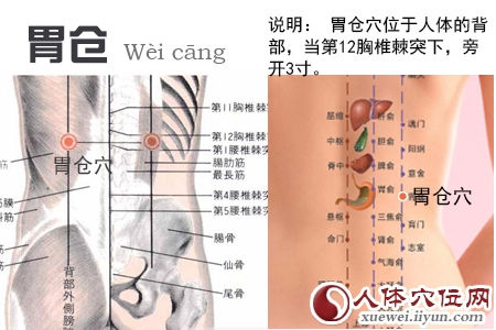 胃仓穴的准确位置图
