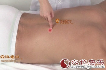 阳纲穴的准确位置图