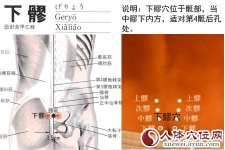下髎穴的准确位置图