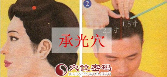 承光穴的准确位置图