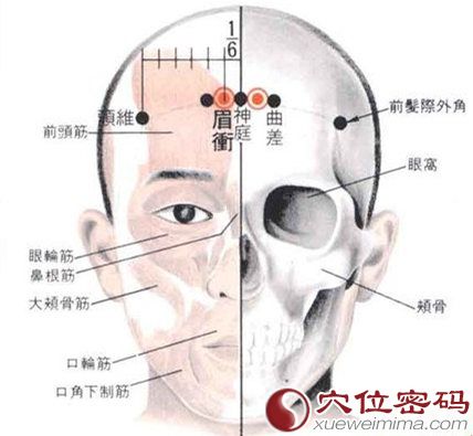 眉冲穴的准确位置图