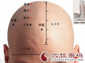 络却穴准确位置图