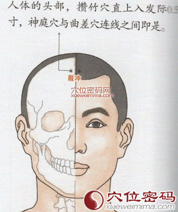 眉冲穴的位置图