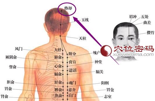 足太阳膀胱经 络却穴
