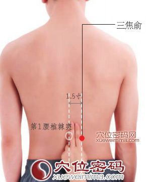 三焦俞穴的准确位置图
