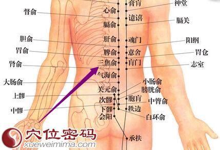 足太阳膀胱经三焦俞穴