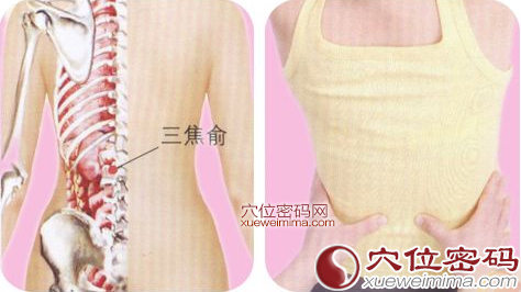 三焦俞穴的位置及按摩手法