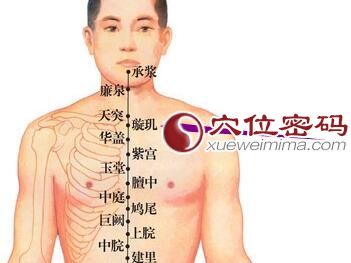 璇玑穴位位置图