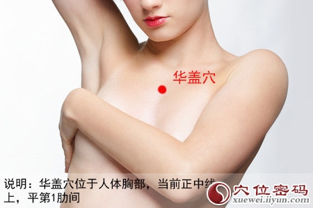 华盖穴的位置