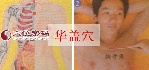 华盖穴的位置图