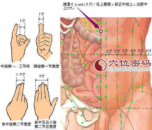 建里穴位位置图