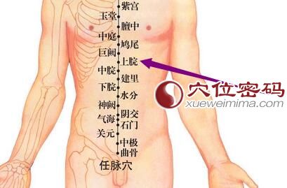 上脘穴位位置图