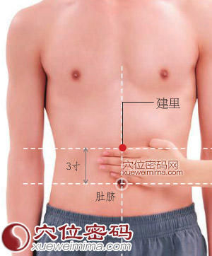 建里穴的准确位置图