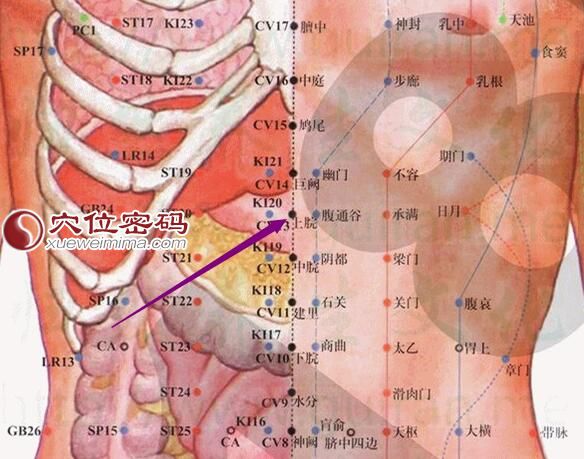 上脘穴的准确位置图