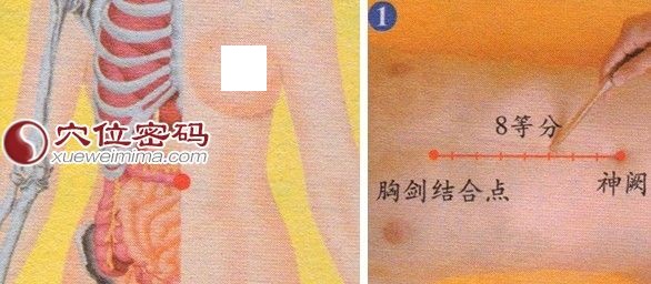 建里穴的准确位置图