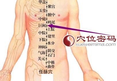 巨阙穴位位置图