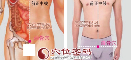 曲骨穴的准确位置图