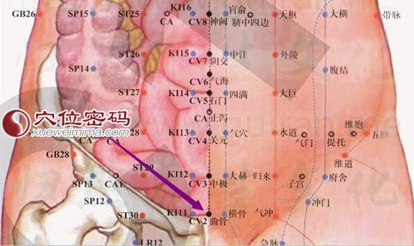 曲骨穴的准确位置图