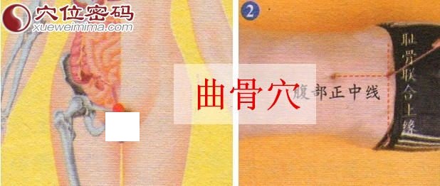 曲骨穴的取穴方法示范图