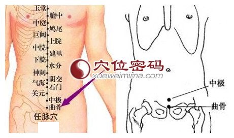 曲骨穴位位置图