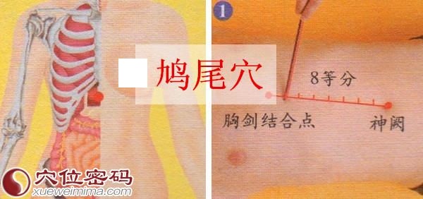 鸠尾穴的准确位置图