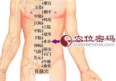 水分穴位位置图