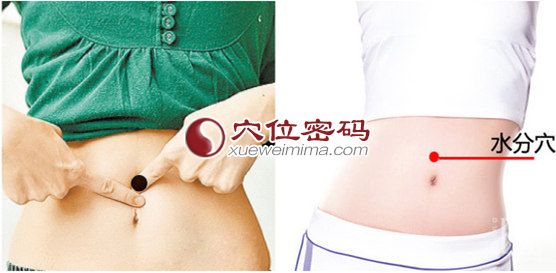 水分穴的位置图片