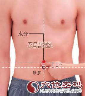图解水分穴的位置