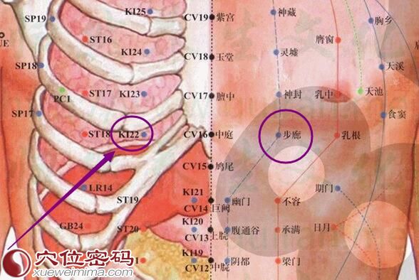 步廊穴的准确位置图