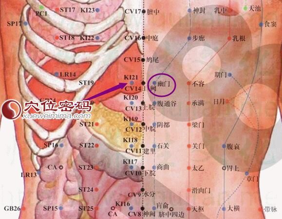 幽门穴的准确位置图