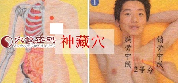 神藏穴的准确位置图